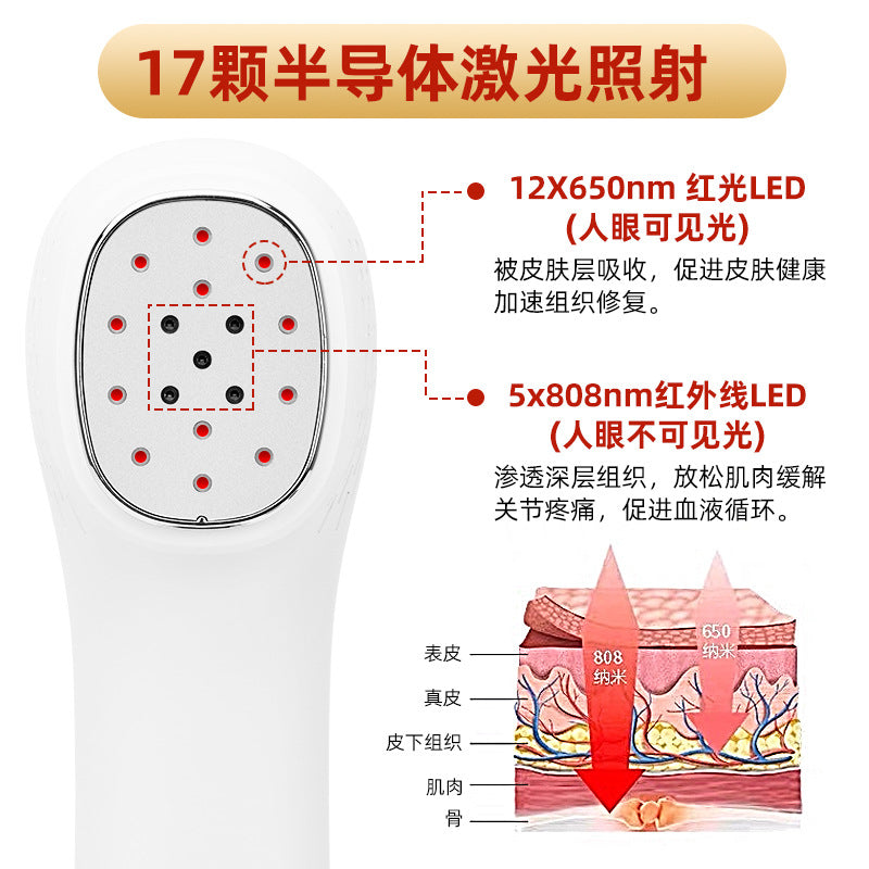 Handheld Portable Red Light Instrument Auxiliary Infrared Physiotherapy Instrument 12 650nm5 808nm Physiotherapy Lamps
